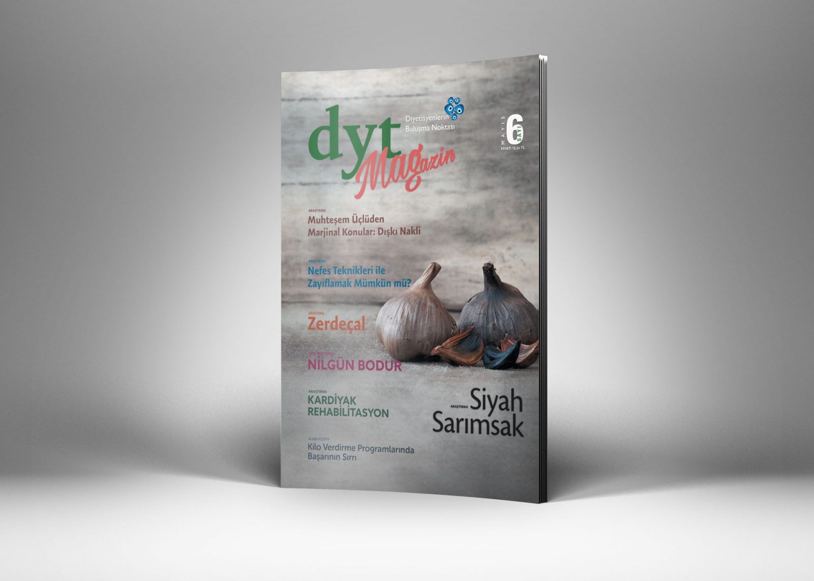 Dytmagazin 6. Sayı Dergi Tasarımını Tamamladık 8 Dytmagazin Dergi Tasarımı Bp01