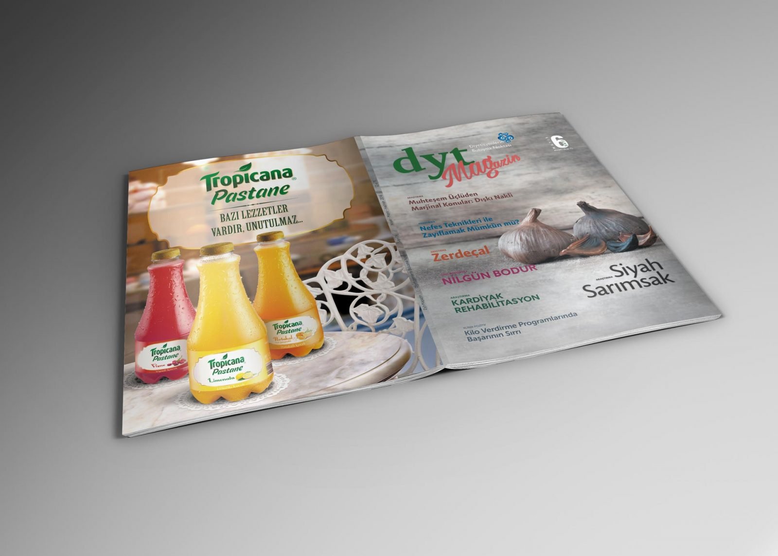 Dytmagazin Dergi Tasarımı Bp17