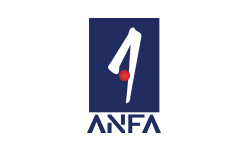 Ankara Web Tasarım, Grafik Tasarım Ve Animasyon Ajansı 29 Anfa Logo