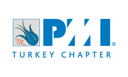 Ankara Web Tasarım, Grafik Tasarım Ve Animasyon Ajansı 11 Pmi Turkey Logo