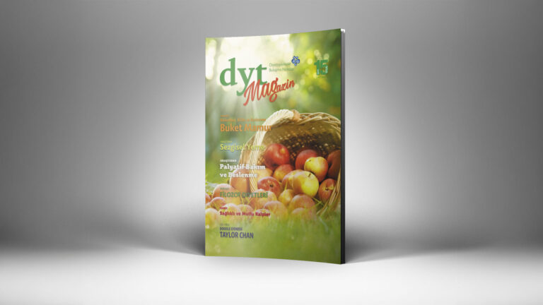 DytMagazin Diyetisten Magazin Dergisi Tasarımı Features