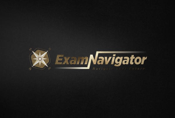 ExamNavigator Logo Tasarımı Thumb