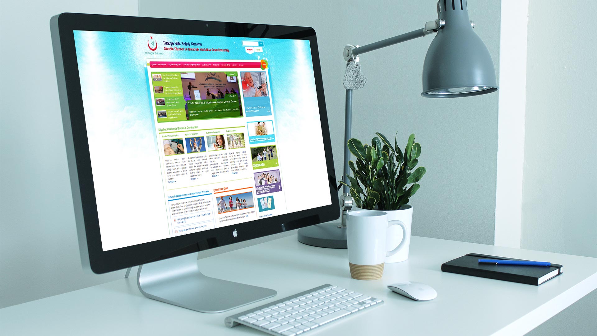 Diabturk Web Sitesi Tasarımı 03