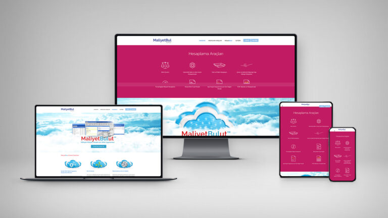E-Ticaret Arayüz Tasarımı 5 Maliyetbul Web Sitesi Tasarımı Features Images