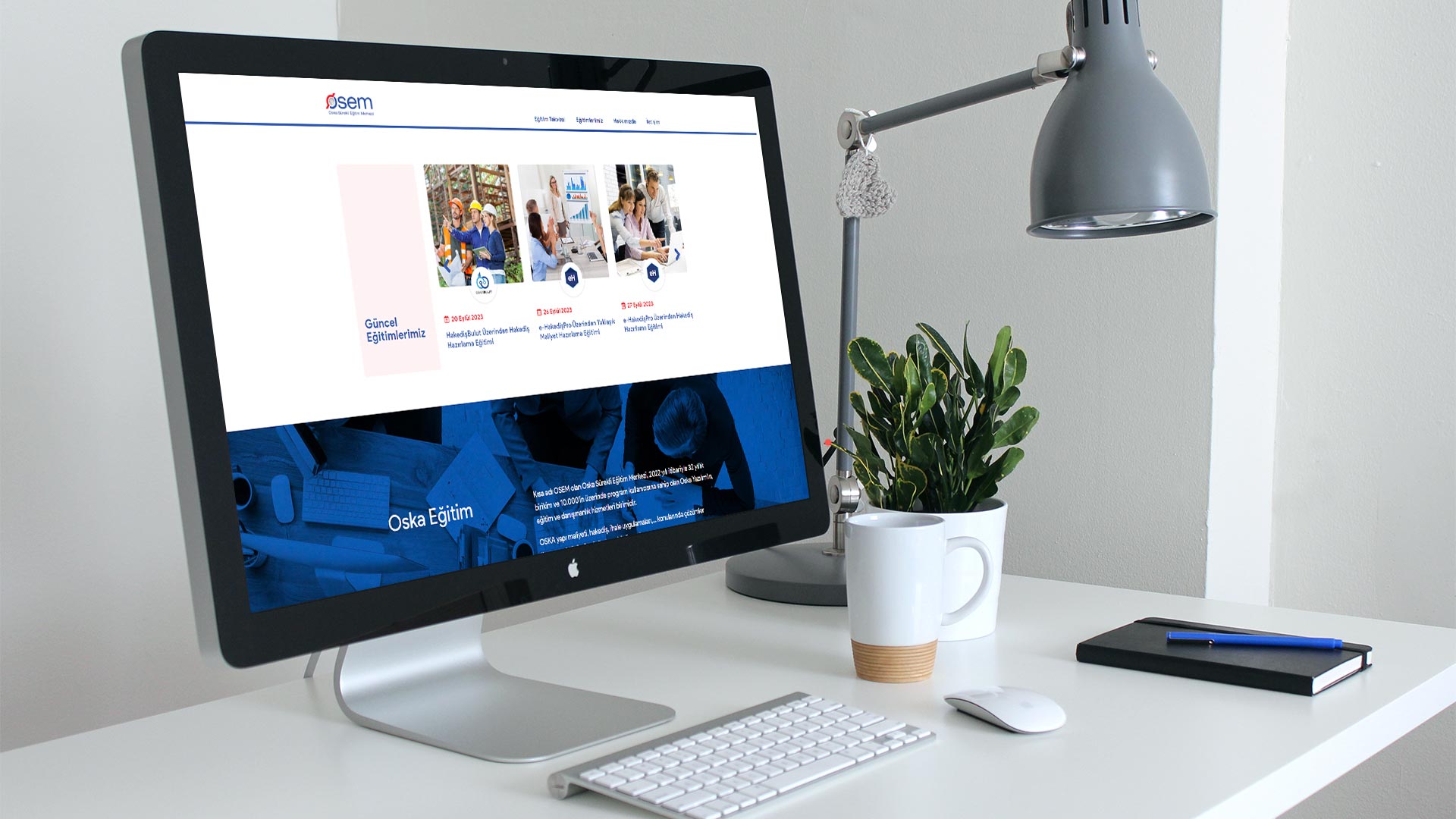 Osem Web Sayfası Tasarımı 04