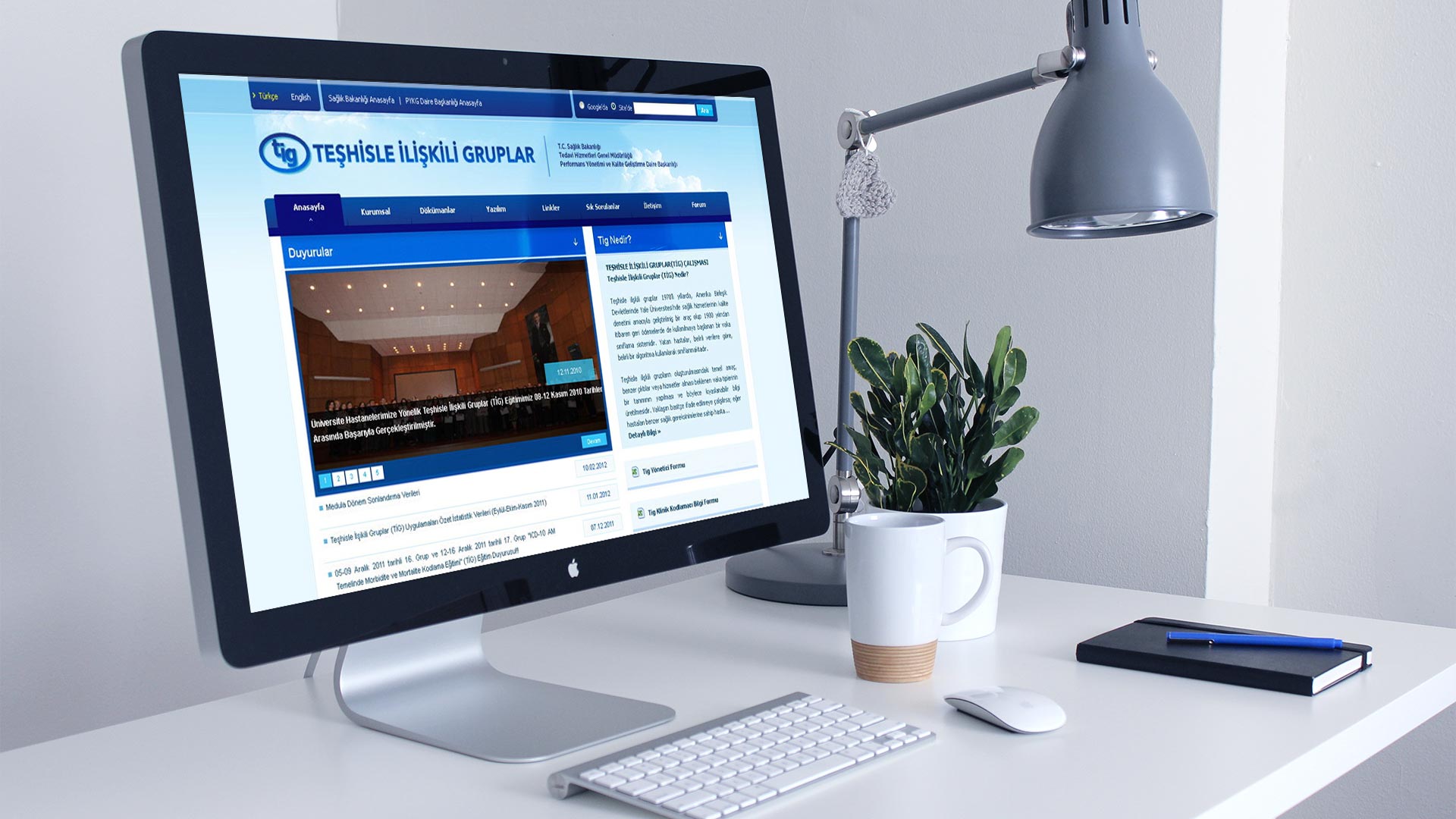 TİG Web Sitesi Tasarımı 03